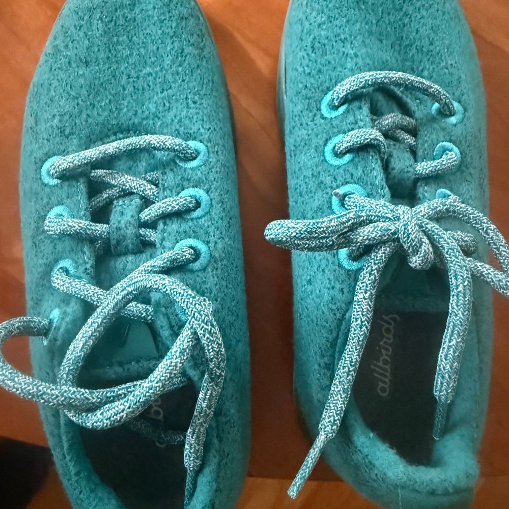 Allbirds Women's Wool Runners